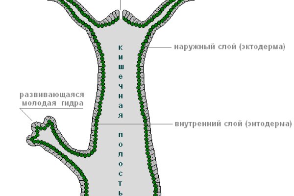 Kraken ссылка kraken clear com