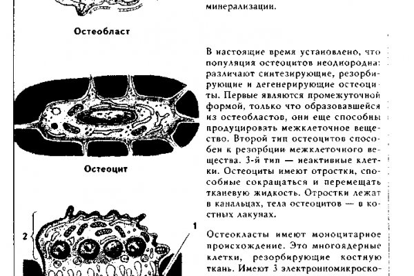 Kraken 12 at что это