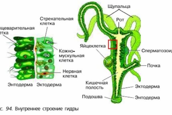 Как попасть на сайт кракен